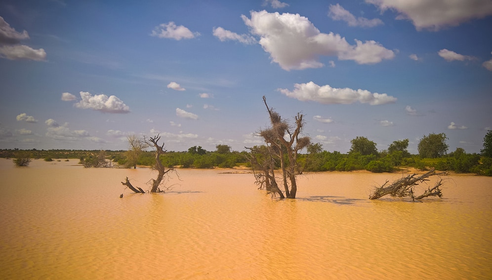 Valorisation-recherche-Sahel