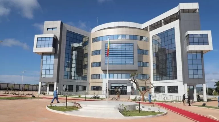 Promouvoir les recherches sur les innovations internes aux services publics des pays africains